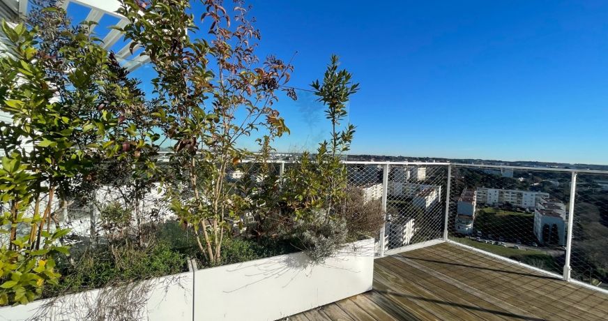 location Appartement Montpellier