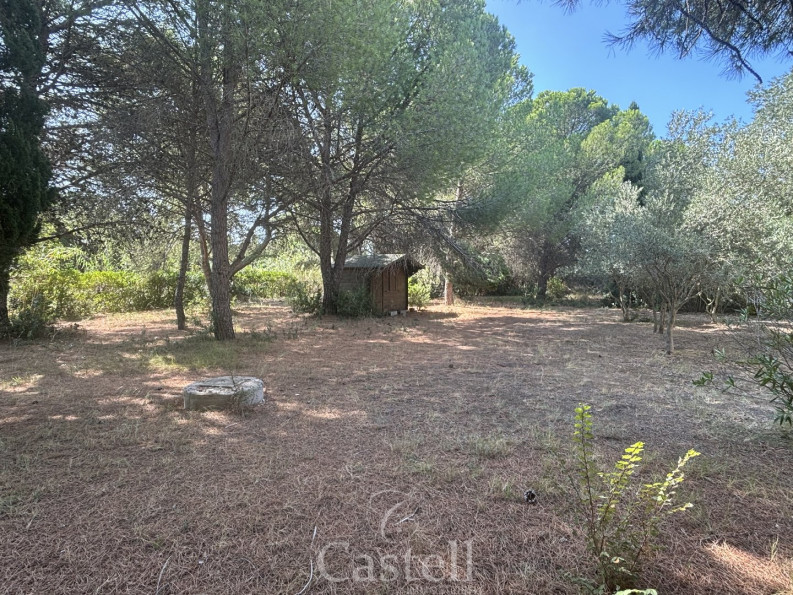 vente Terrain Le Grau D'agde - Photo 1