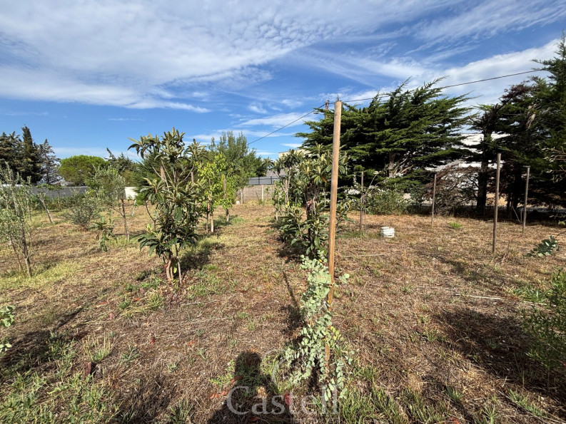 vente Terrain Marseillan - Photo 4