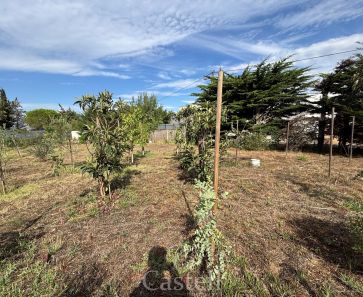 vente Marseillan