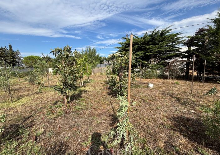 vente Terrain Marseillan