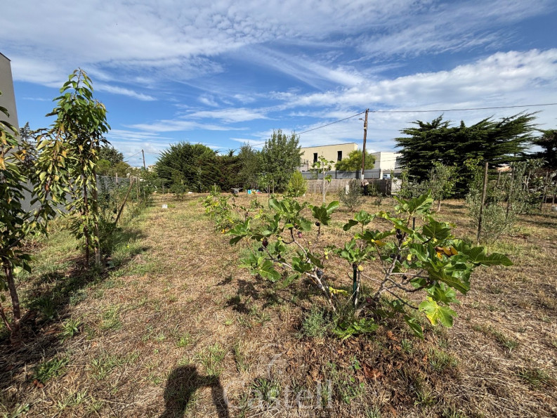 vente Terrain Marseillan - Photo 3