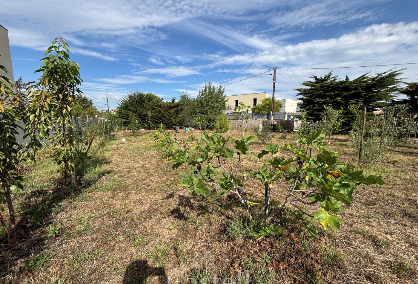 vente Terrain Marseillan - Photo 3