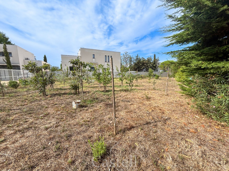 vente Terrain Marseillan - Photo 2
