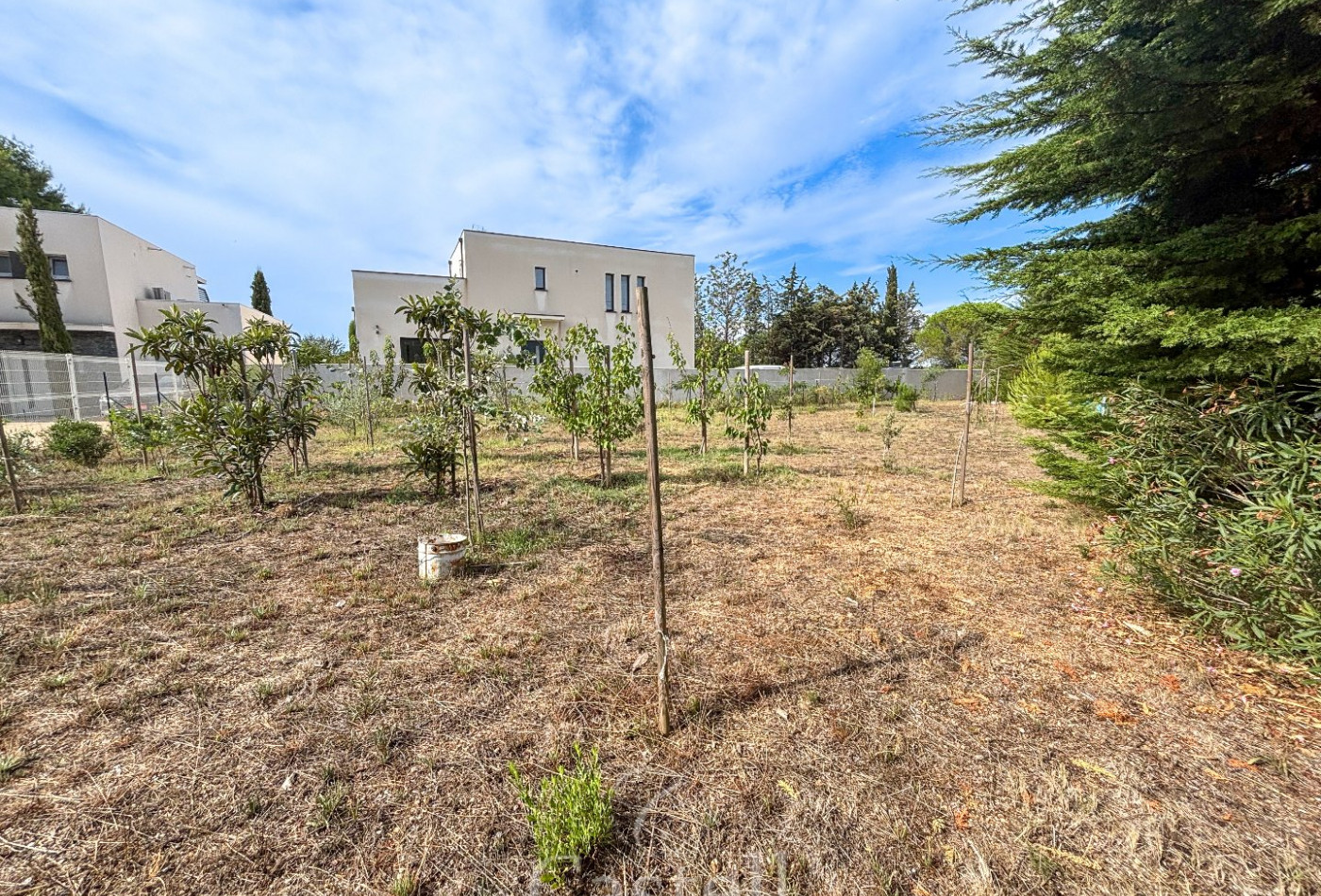 vente Terrain Marseillan - Photo 2