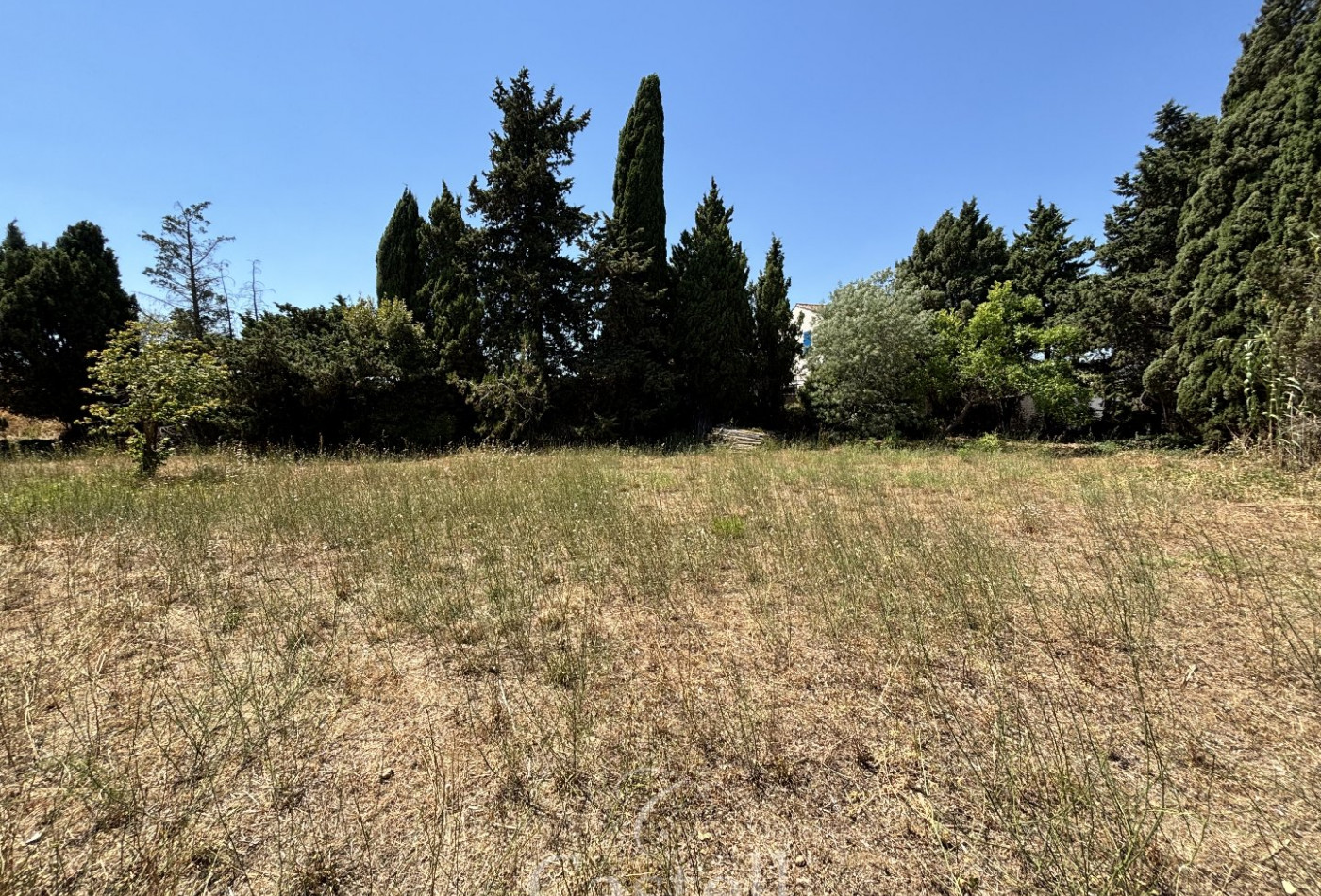 vente Terrain Vias - Photo 2