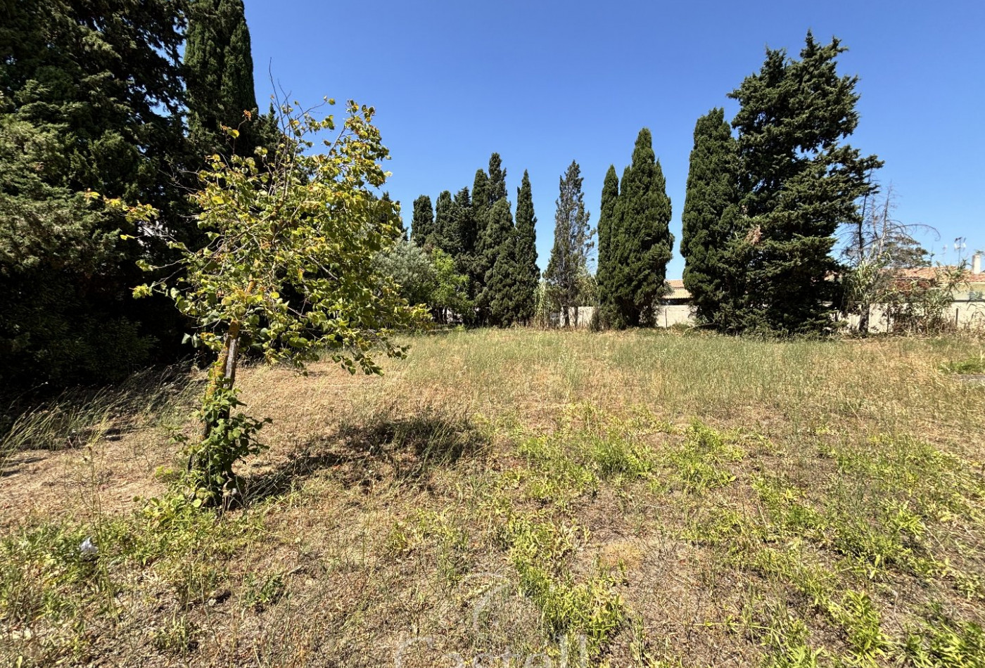 vente Terrain Vias - Photo 3