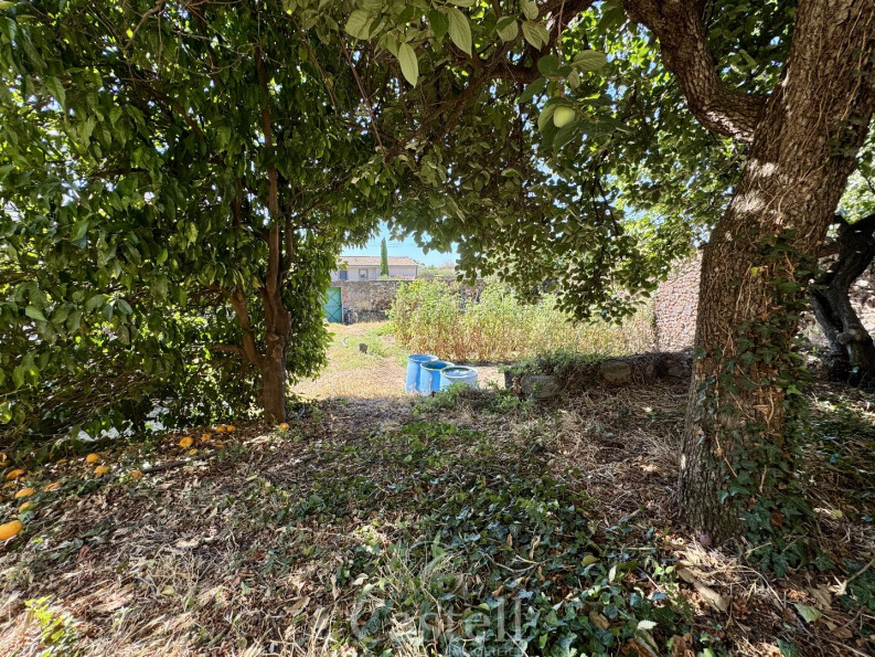 vente Terrain Pomerols - Photo 4