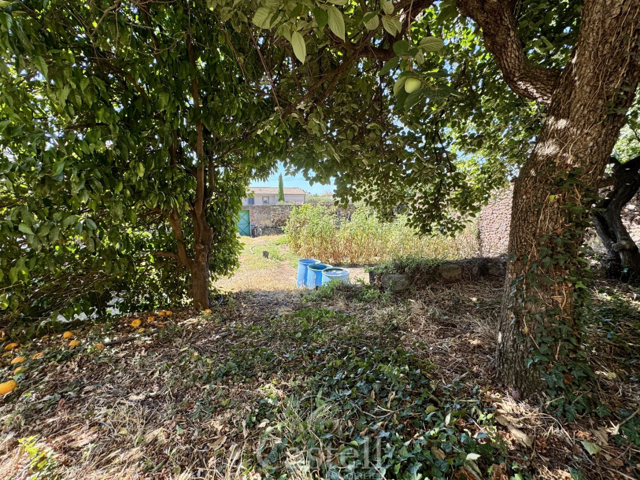 vente Terrain Pomerols - Photo 4