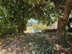 vente Terrain Pomerols