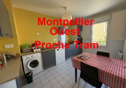 vente Appartement Montpellier