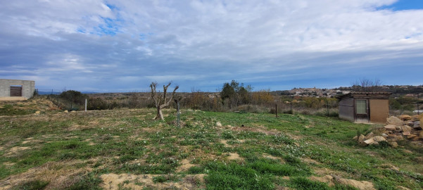 à vendre Terrain diffus (hors lotissement) Magalas