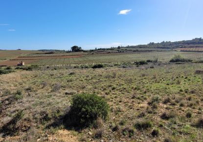 vente Terrain agricole Murviel Les Beziers