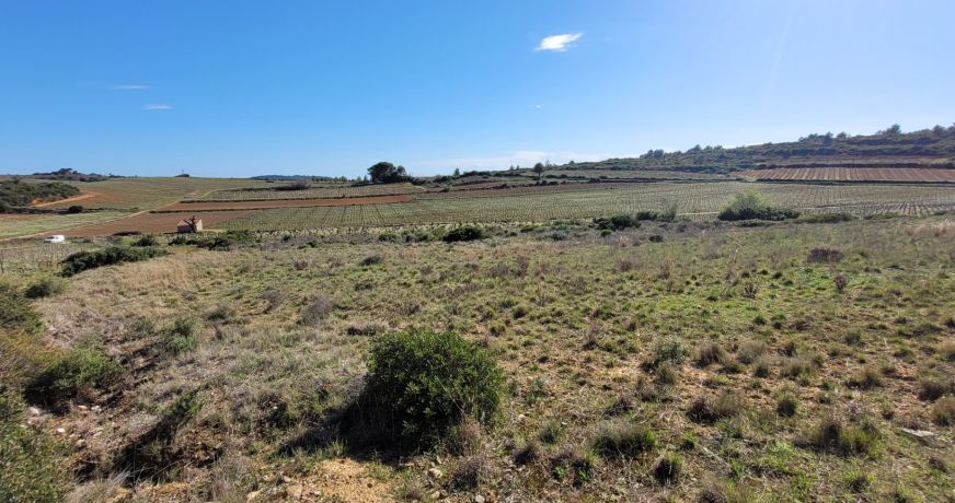 vente Terrain agricole Murviel Les Beziers