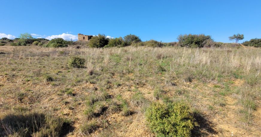 vente Terrain agricole Murviel Les Beziers