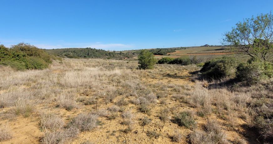 vente Terrain agricole Murviel Les Beziers