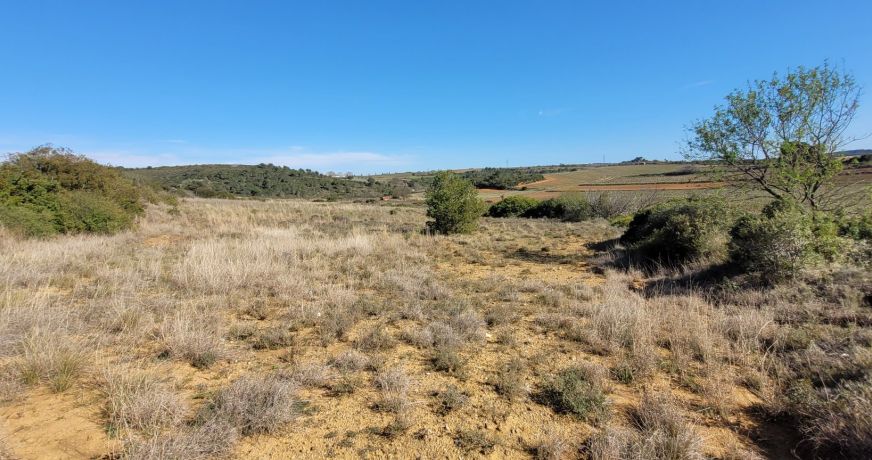 vente Terrain agricole Murviel Les Beziers