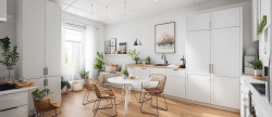 vente Appartement à rénover Saint Pons De Thomieres