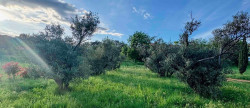 vente Demeure Saint Chinian