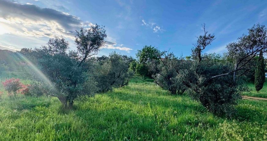 vente Demeure Saint Chinian