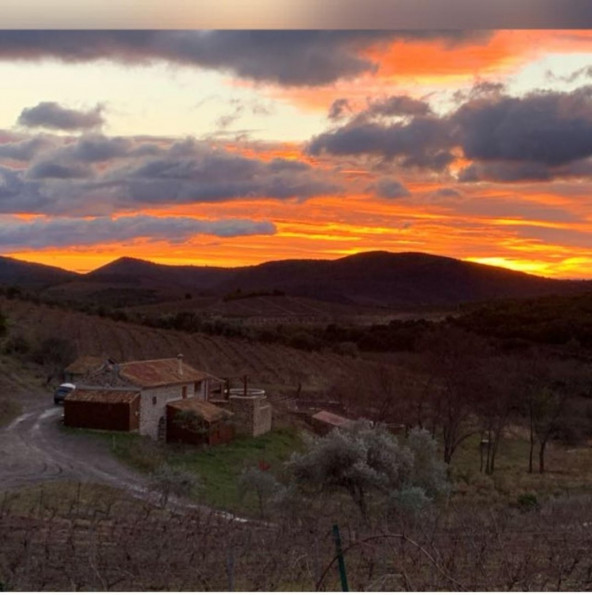vente Propriété Beziers - Photo 4