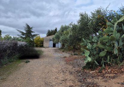 vente Terrain constructible Saint Chinian