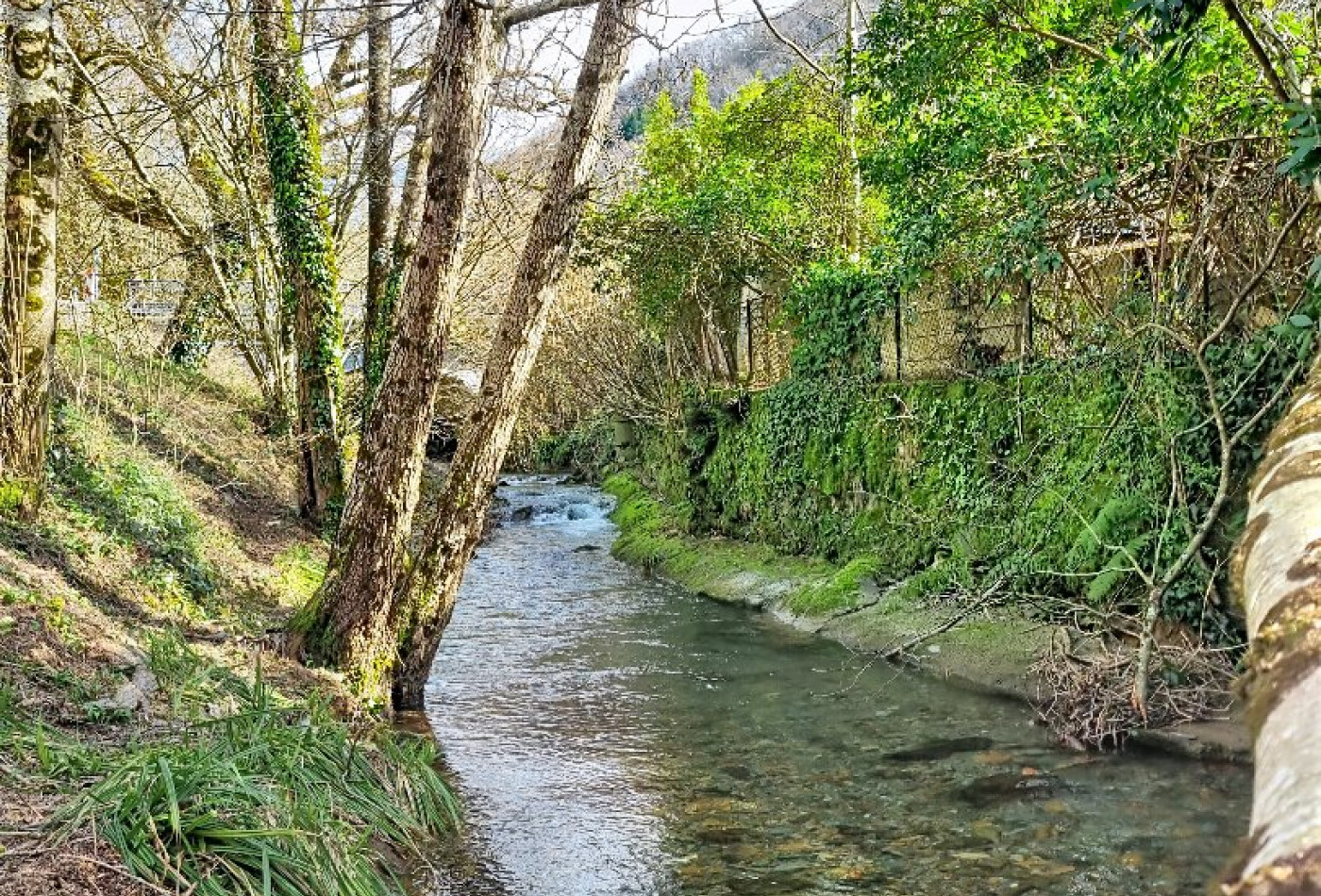 vente Maison de campagne Verreries De Moussans - Photo 3