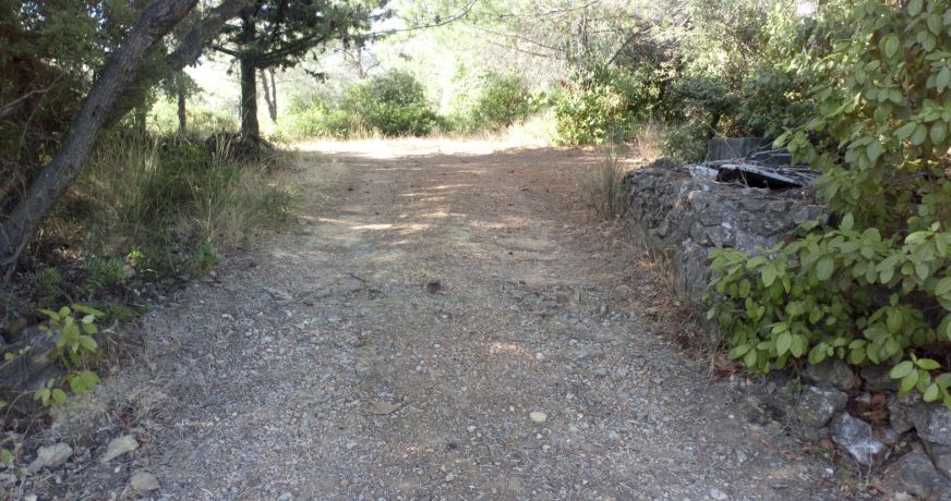 vente Terrain Pignan