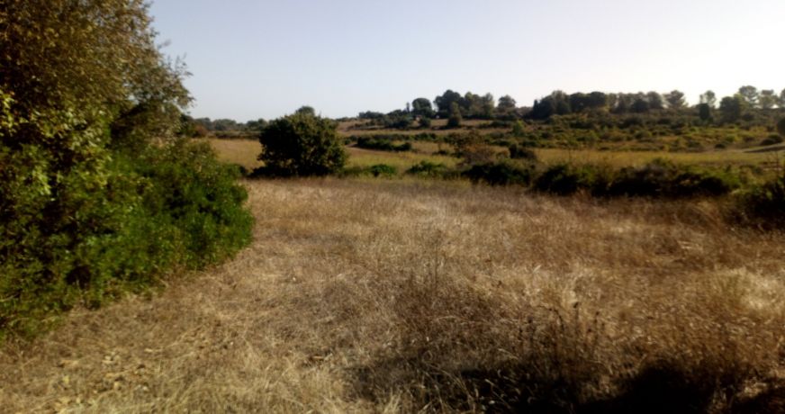 vente Terrain Pignan