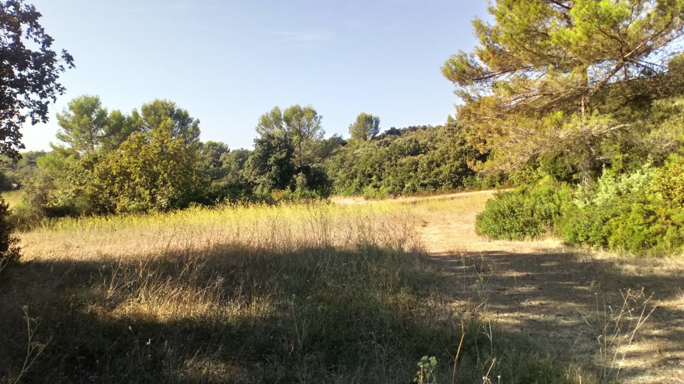 vente Terrain Pignan - Photo 3
