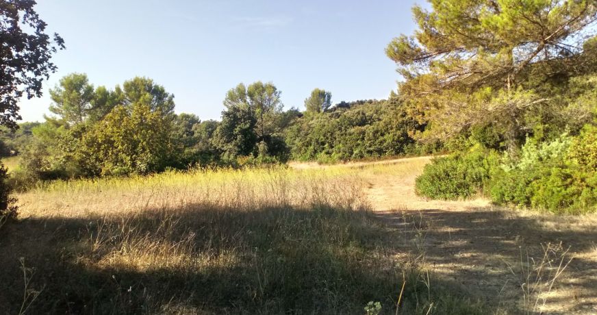 vente Terrain Pignan