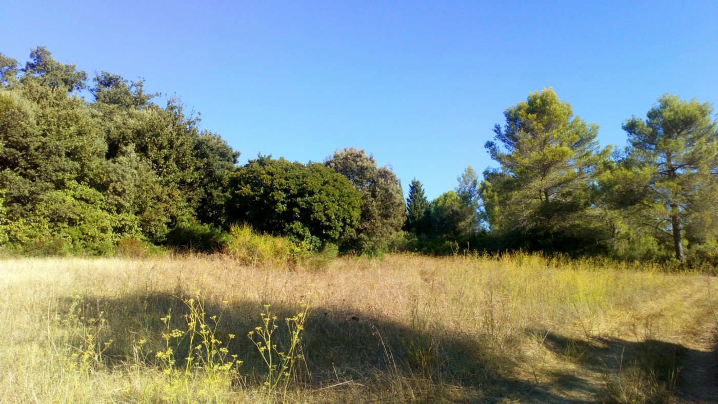 vente Terrain Pignan - Photo 6