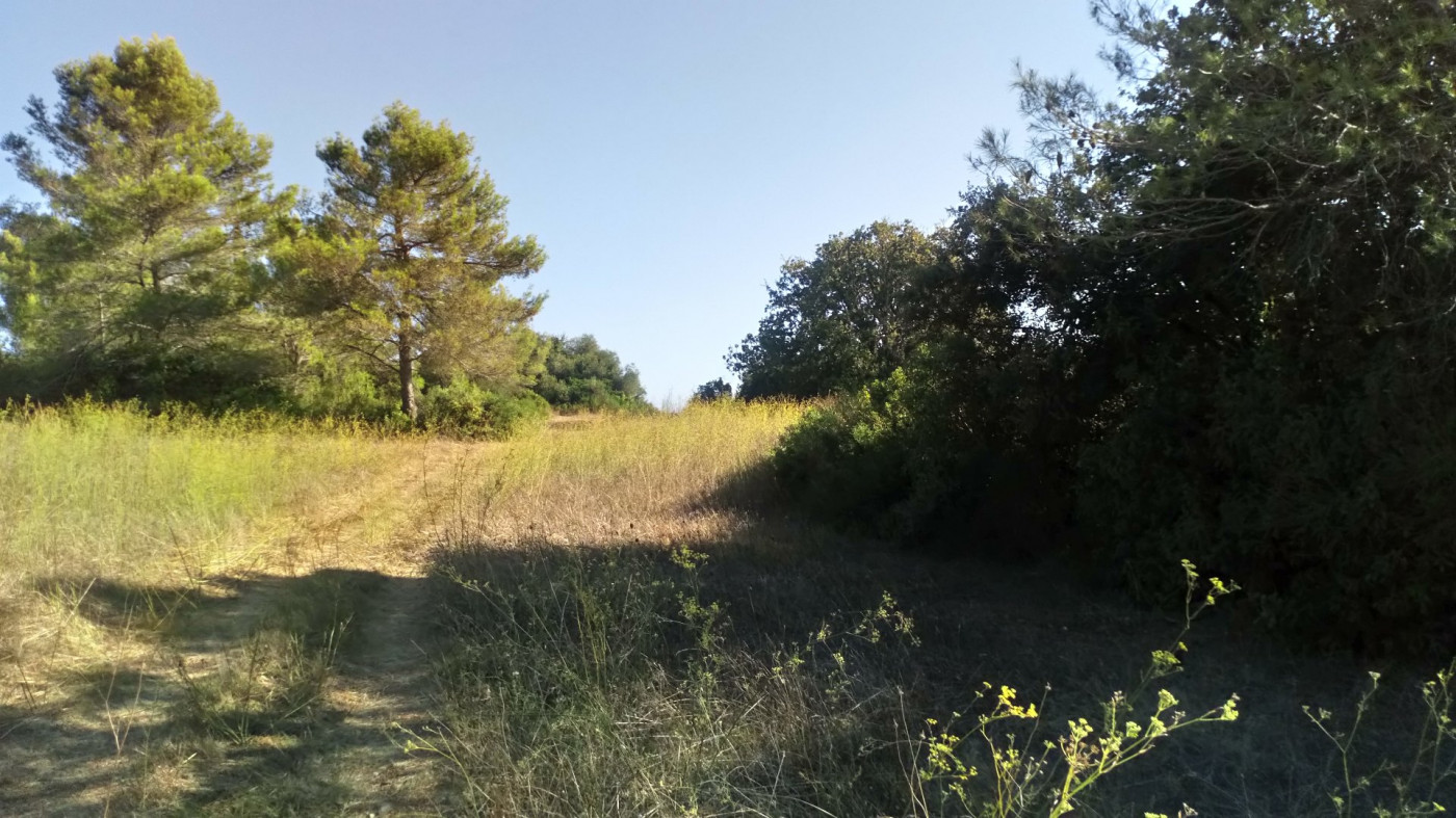 vente Terrain Pignan - Photo 7