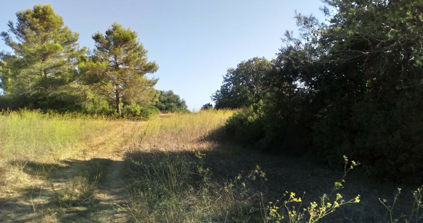 vente Terrain Pignan