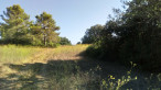 vente Terrain Pignan