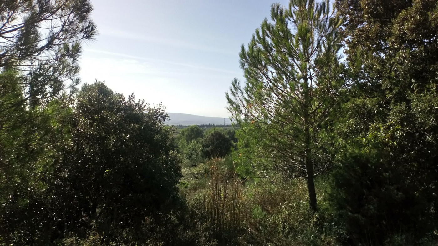 vente Terrain Pignan - Photo 8