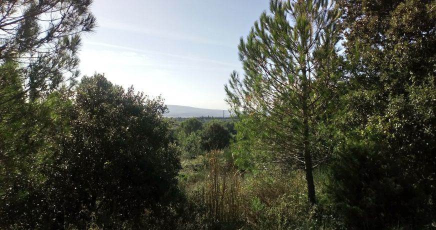 vente Terrain Pignan