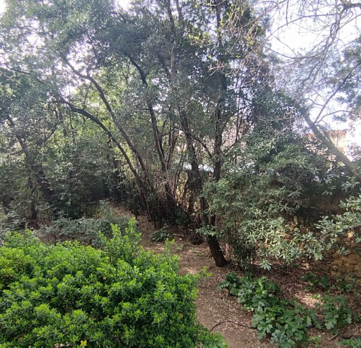 à louer Appartement Montpellier