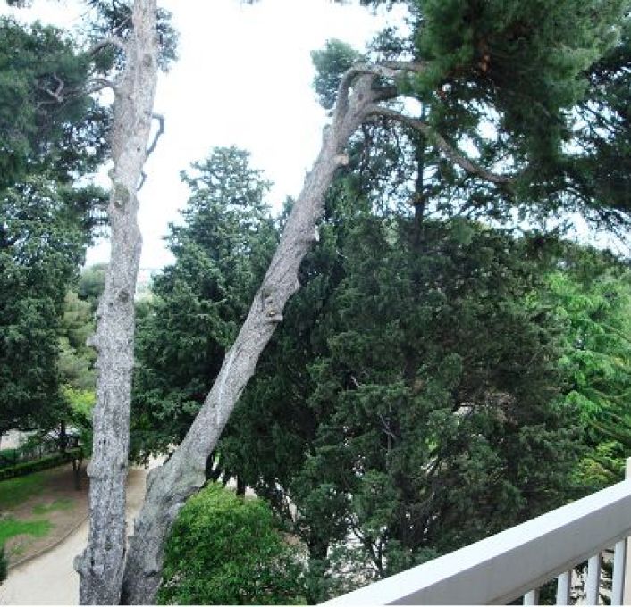 vente Appartement Montpellier