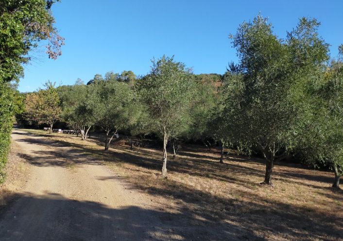 à vendre Mas Faugeres