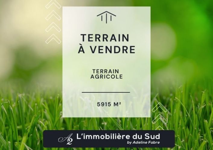 à vendre Terrain agricole Maraussan