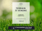 vente Terrain agricole Maraussan