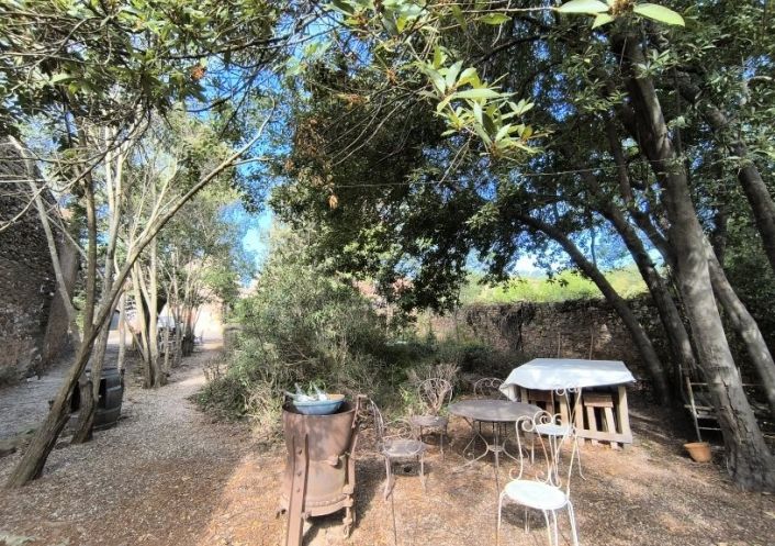 à vendre Propriété viticole Cazedarnes