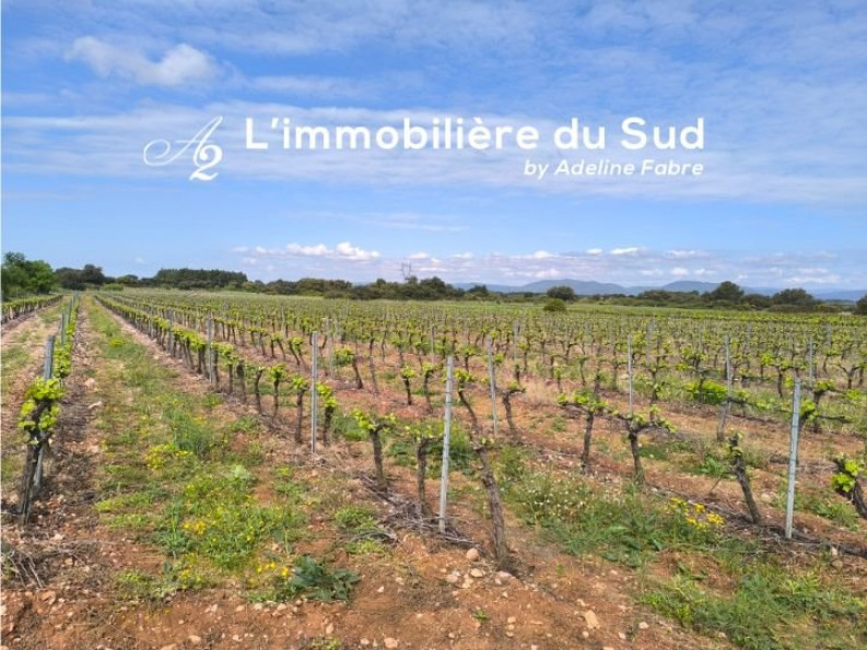 vente Terrain viticole Cazedarnes - Photo 1