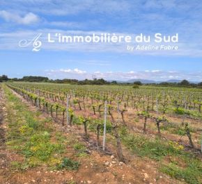 à vendre Cazedarnes