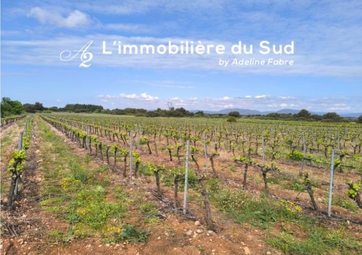 à vendre Terrain viticole Cazedarnes