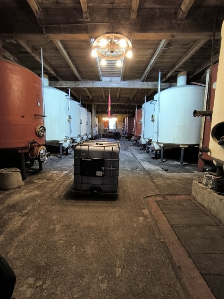 à vendre Propriété viticole Cazedarnes - Photo 3