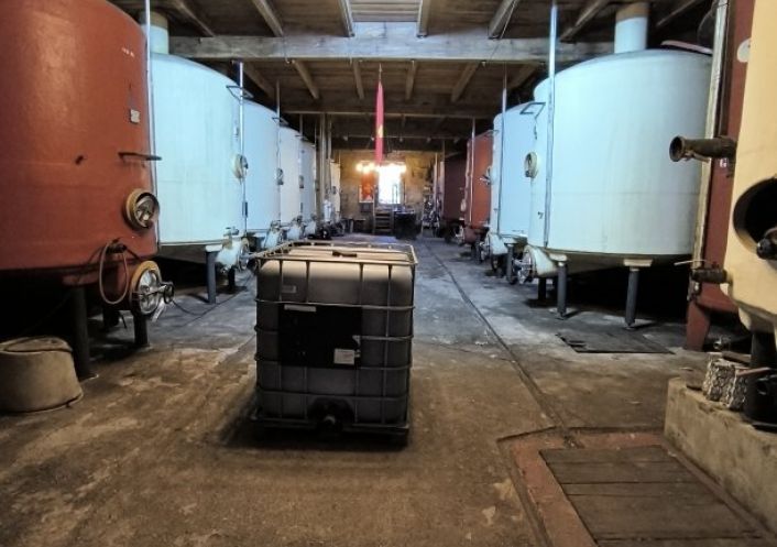 à vendre Propriété viticole Cazedarnes