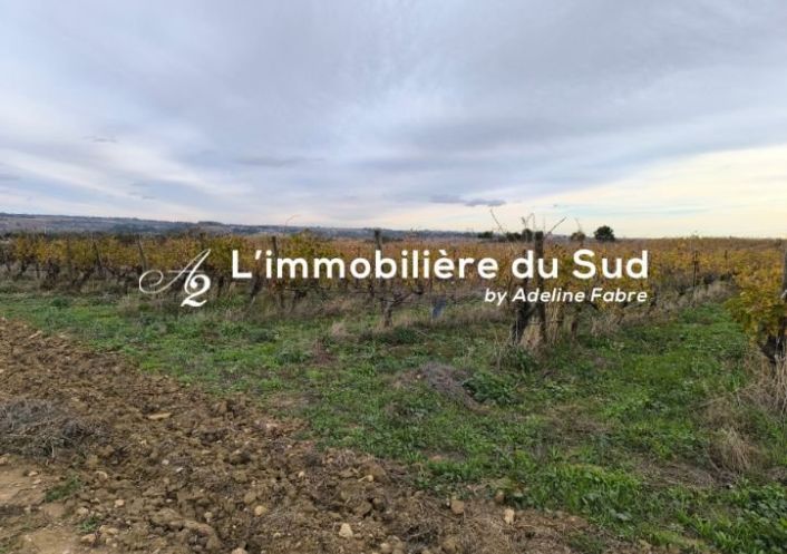 à vendre Terrain agricole Maraussan