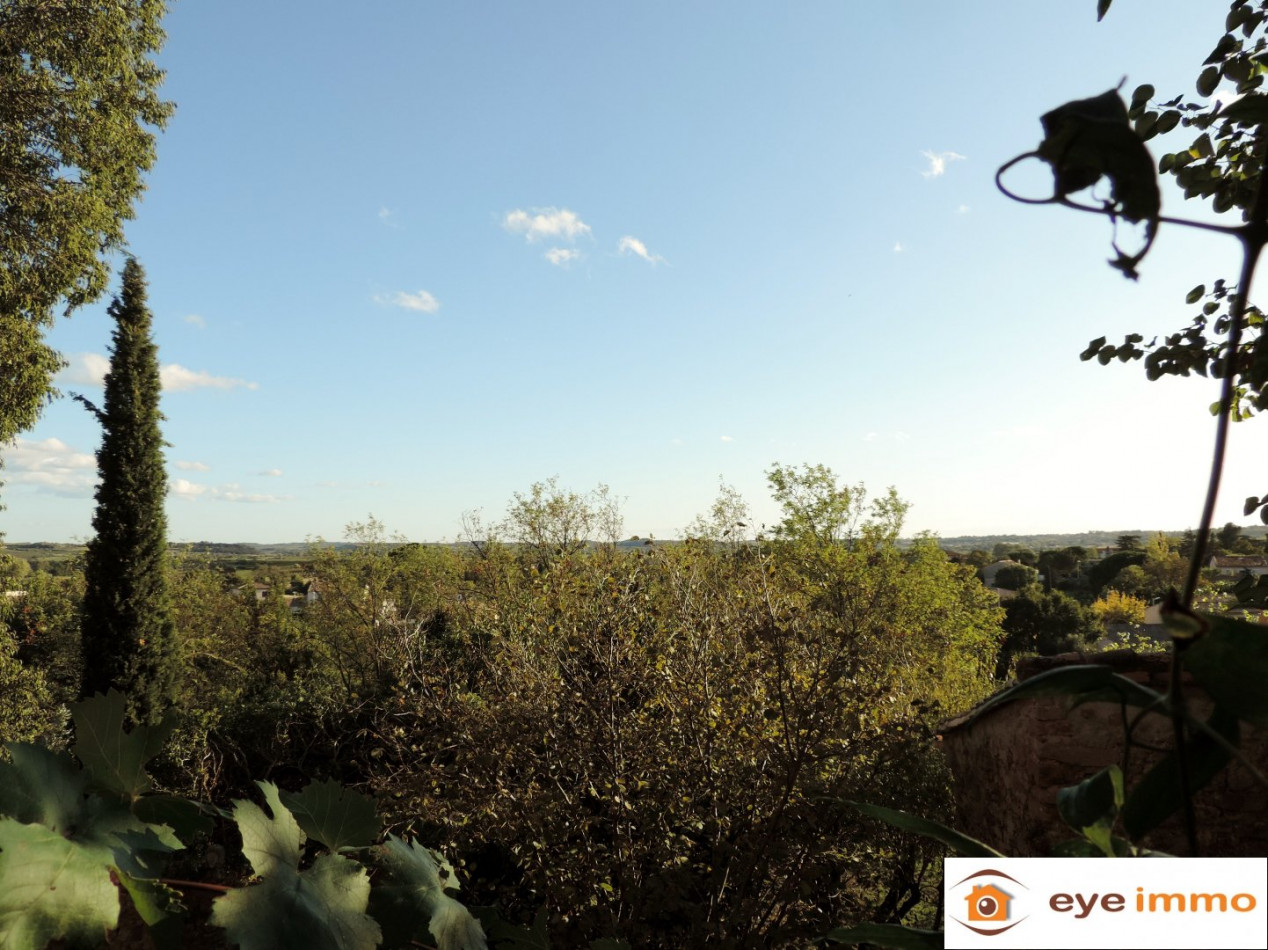 vente Maison de caractère Neffies - Photo 18